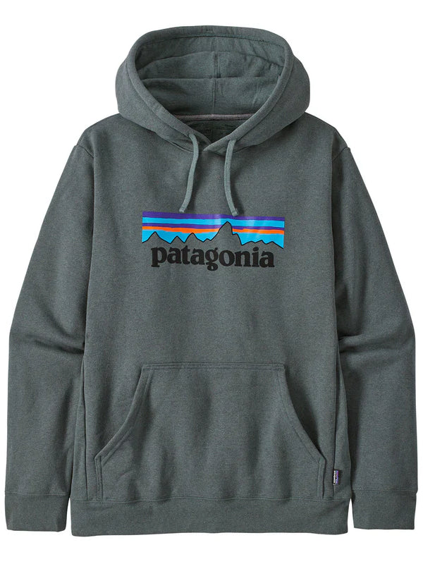 Buy Patagucci Hoodie In Grey