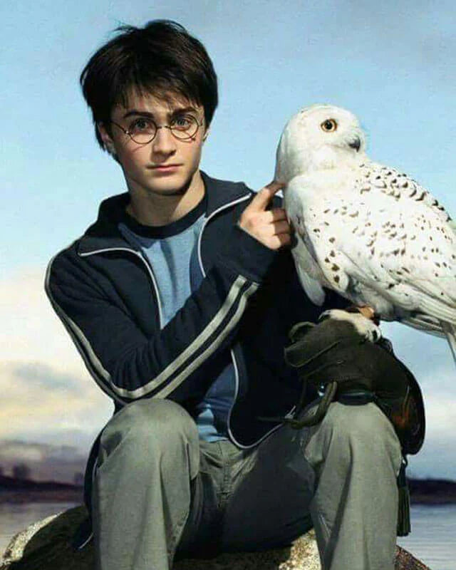 Harry Potter and the Prisoner of Azkaban Navy Jacket