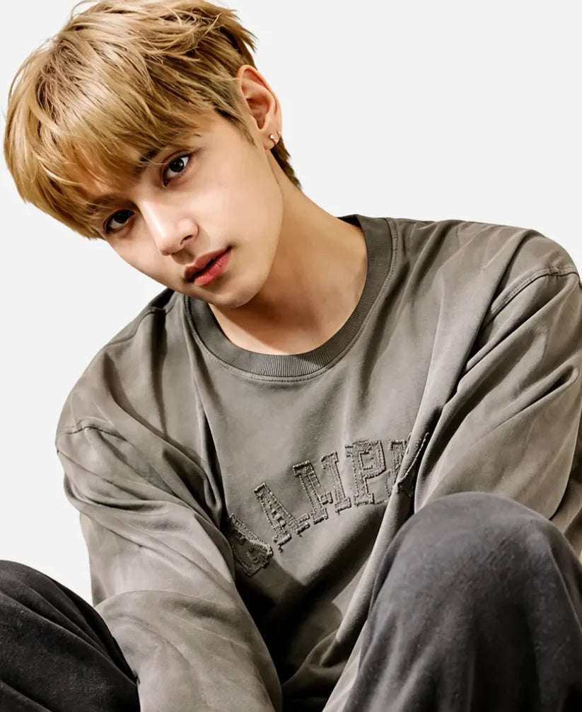 Bts V X Champion Grey Sweatshirt