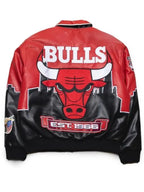 R&B Tour 2026 Usher Chicago Bulls Leather Jacket