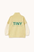 Colorblock Half-Zip Mockneck Sweatshirt