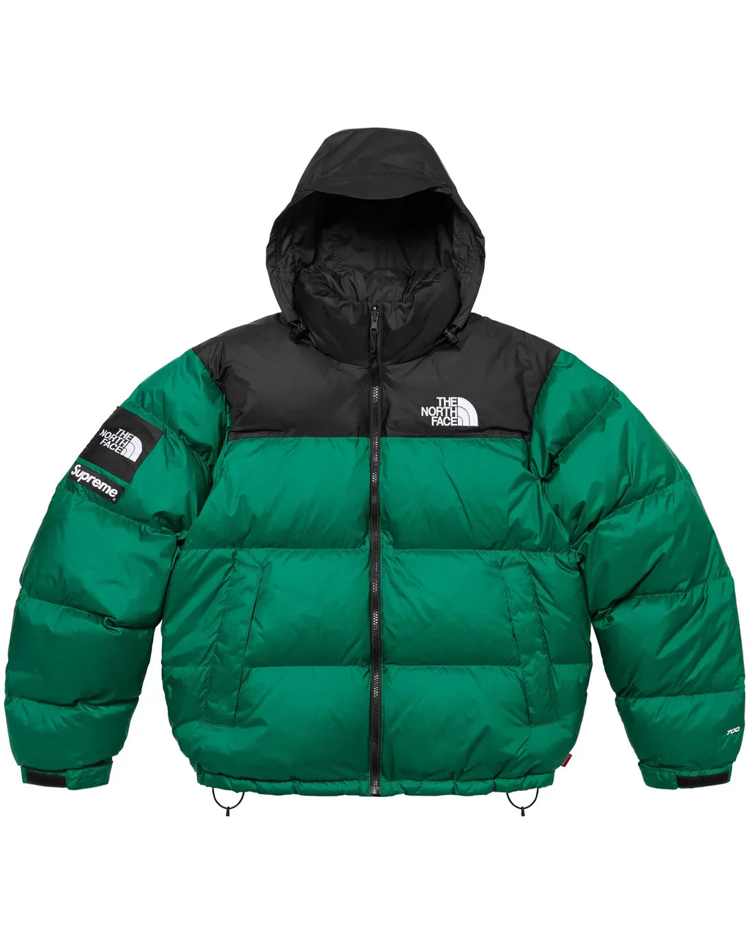Supreme_North_Face_Jacket_Buy