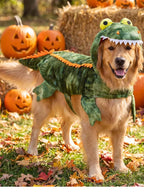 Dog Dinosaur Halloween Costumes