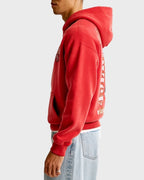 san-francisco-49ers-graphic-popover-hoodie-For-Sale